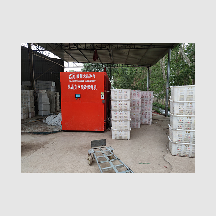 DCGSYL-10果蔬真空预冷机