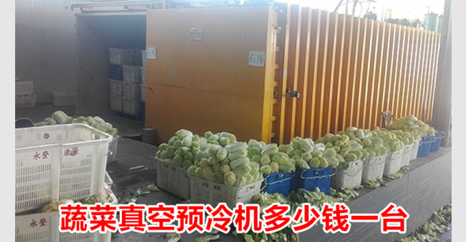 蔬菜真空预冷机多少钱一台，真空预冷机的价格
