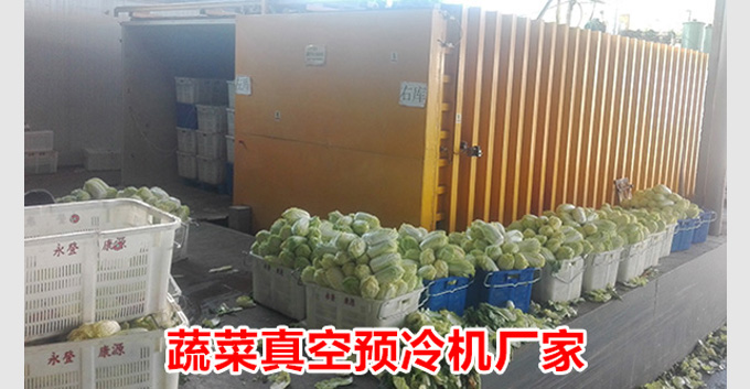 蔬菜真空预冷机厂家
