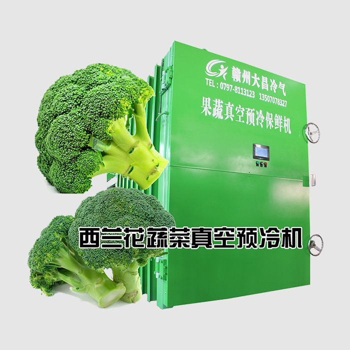 西兰花蔬菜真空预冷机