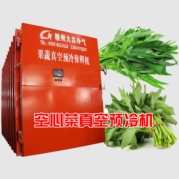 空心菜真空预冷机