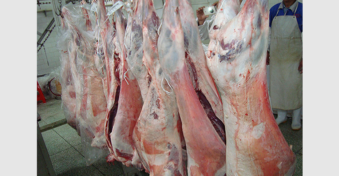 如何解冻冻牛、羊、猪肉才新鲜健康