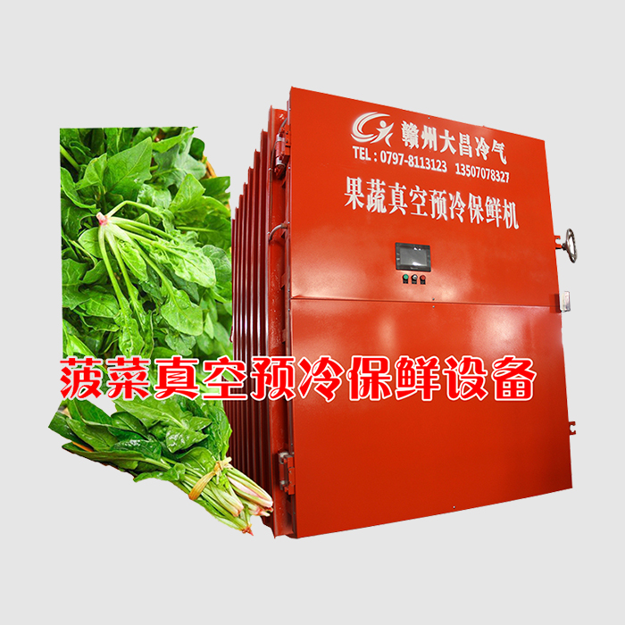 菠菜真空预冷保鲜设备