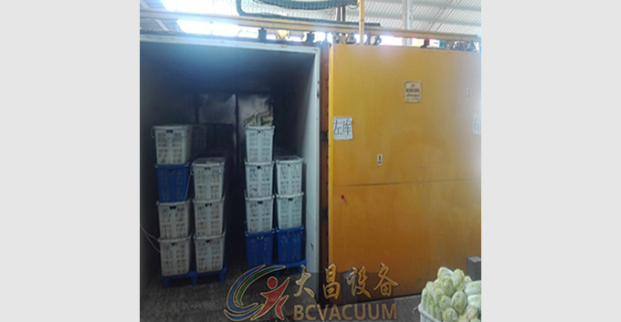 蔬菜真空预冷机作用