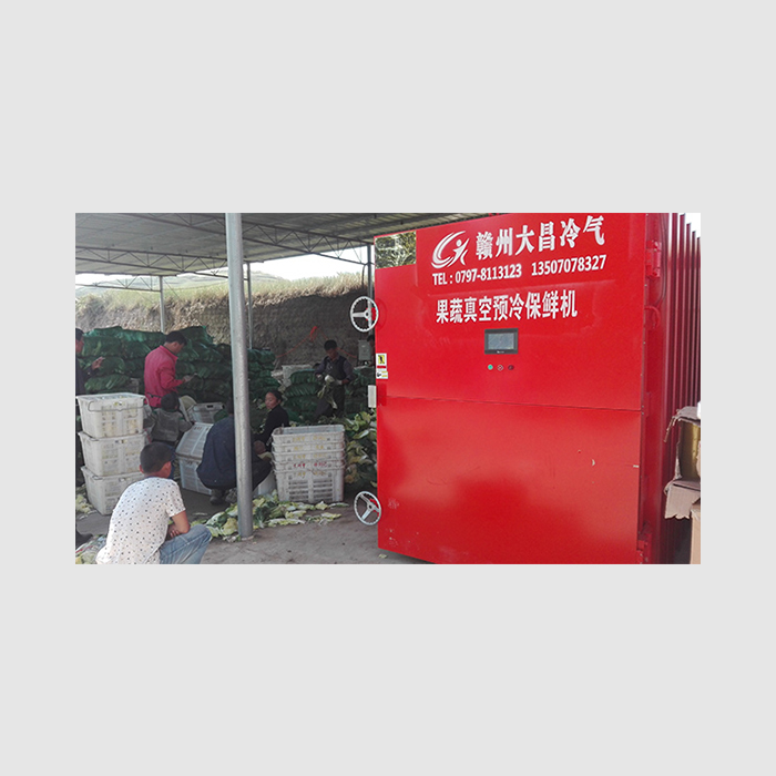 DCGSYL-4果蔬真空预冷机