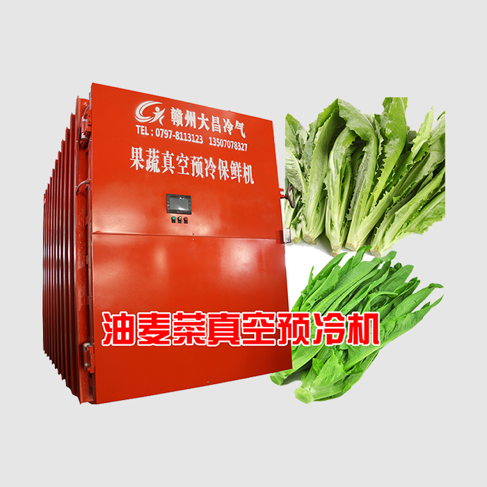 油麦菜真空预冷机