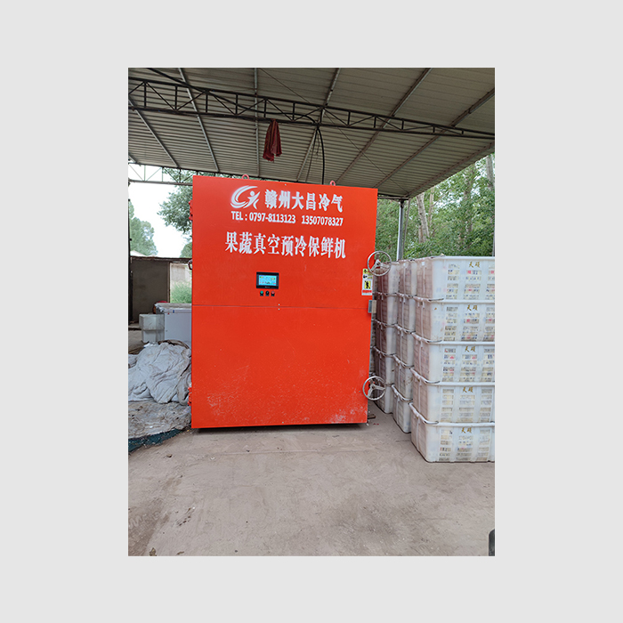 DCGSYL-10果蔬真空预冷机