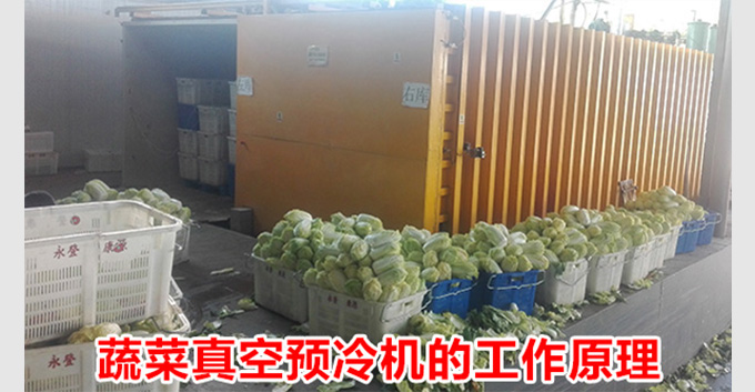 蔬菜真空预冷机的工作原理，真空预冷机功能特点