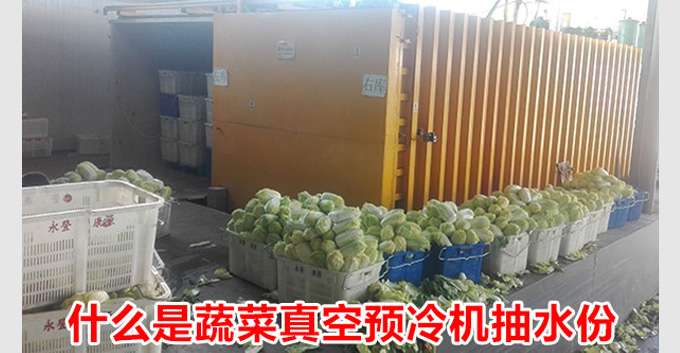 「已解决」什么是蔬菜真空预冷机抽水份